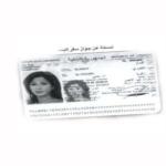جواز سفر اليسا المسرّب